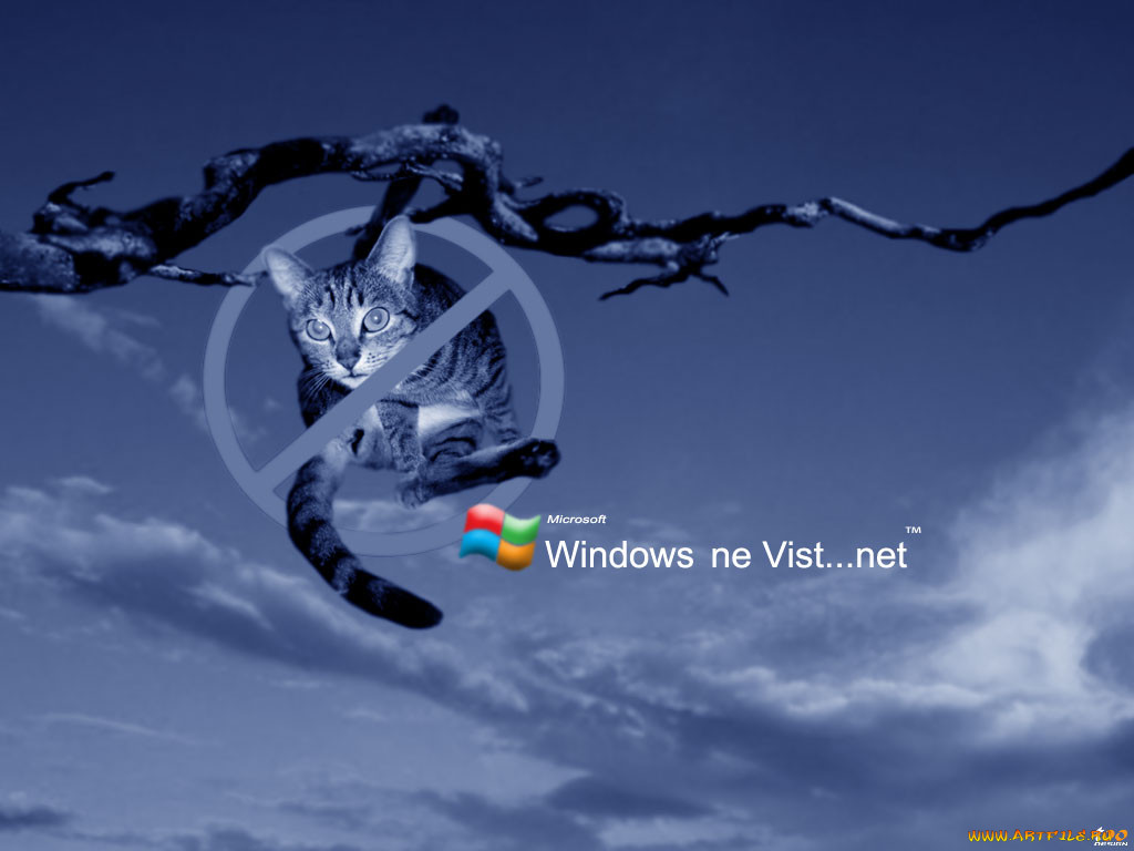 , windows, xp